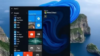 Photo of Windows 10: лучшие программы 2021